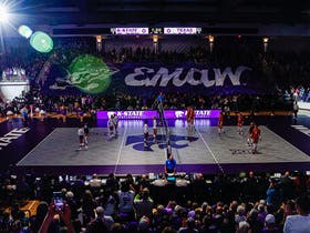 Kansas State Wildcats Womens Volleyball