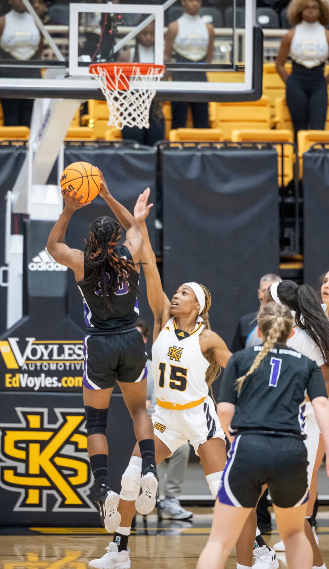 Kennesaw State Owls Womens Basketball