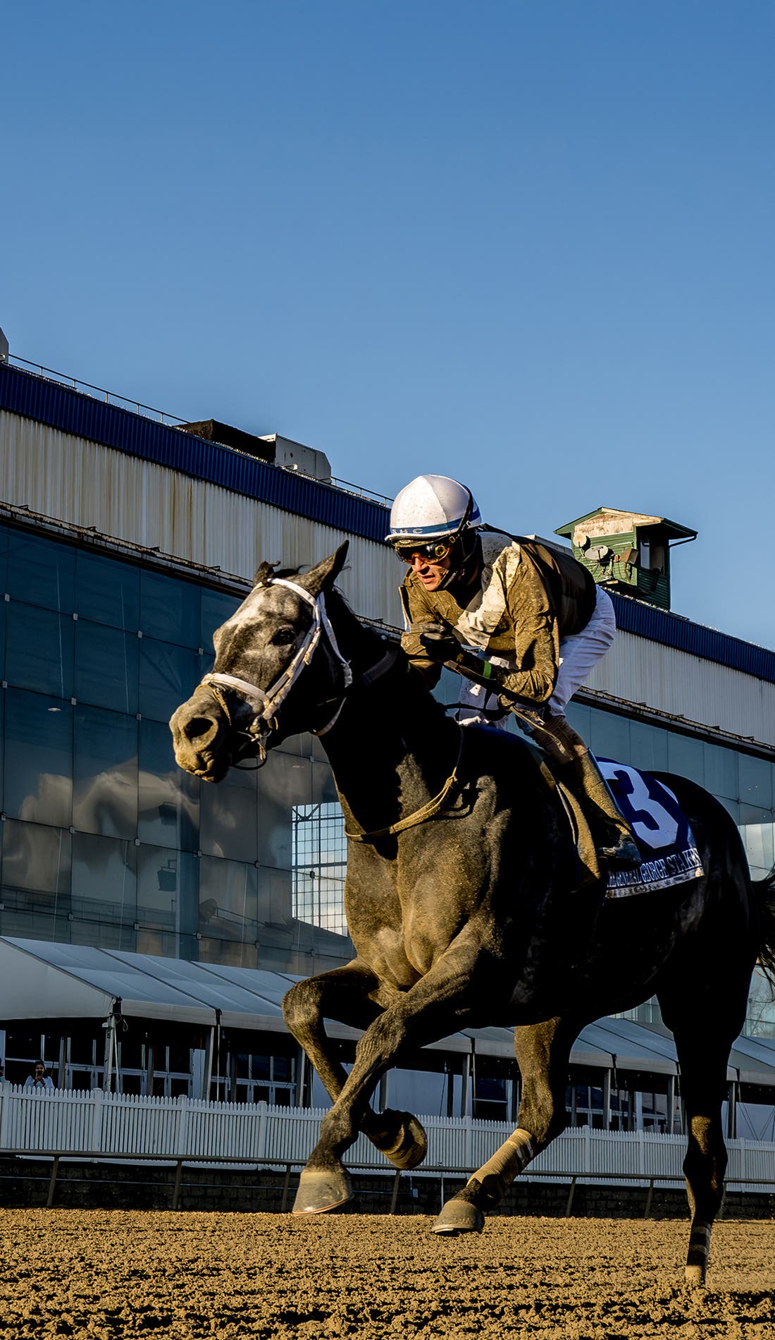 Laurel Park promotional image for upcoming events and ticket sales