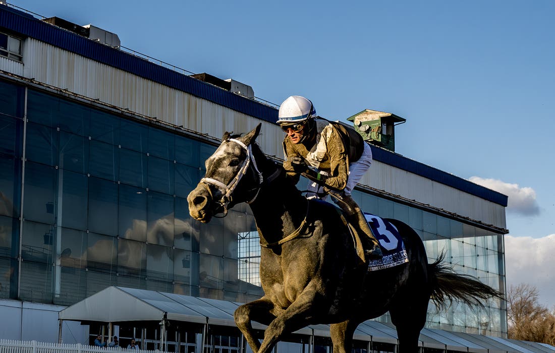 Promotional image for Laurel Park tickets