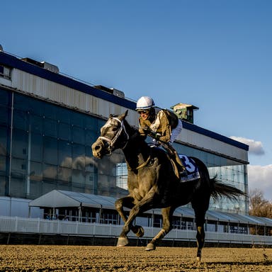 Laurel Park Tickets 