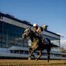 Laurel Park