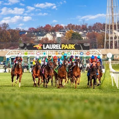 Laurel Park Tickets 