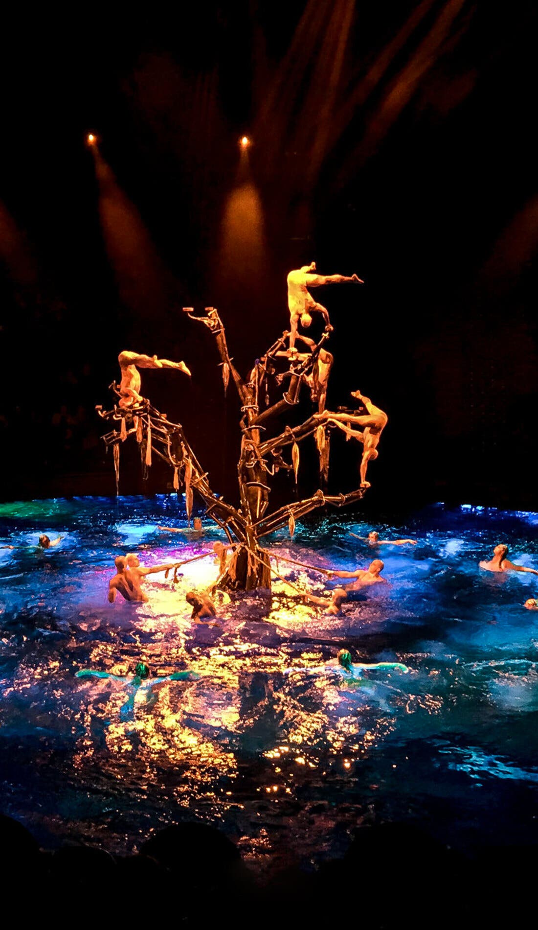 Le Reve promotional image for upcoming events and ticket sales