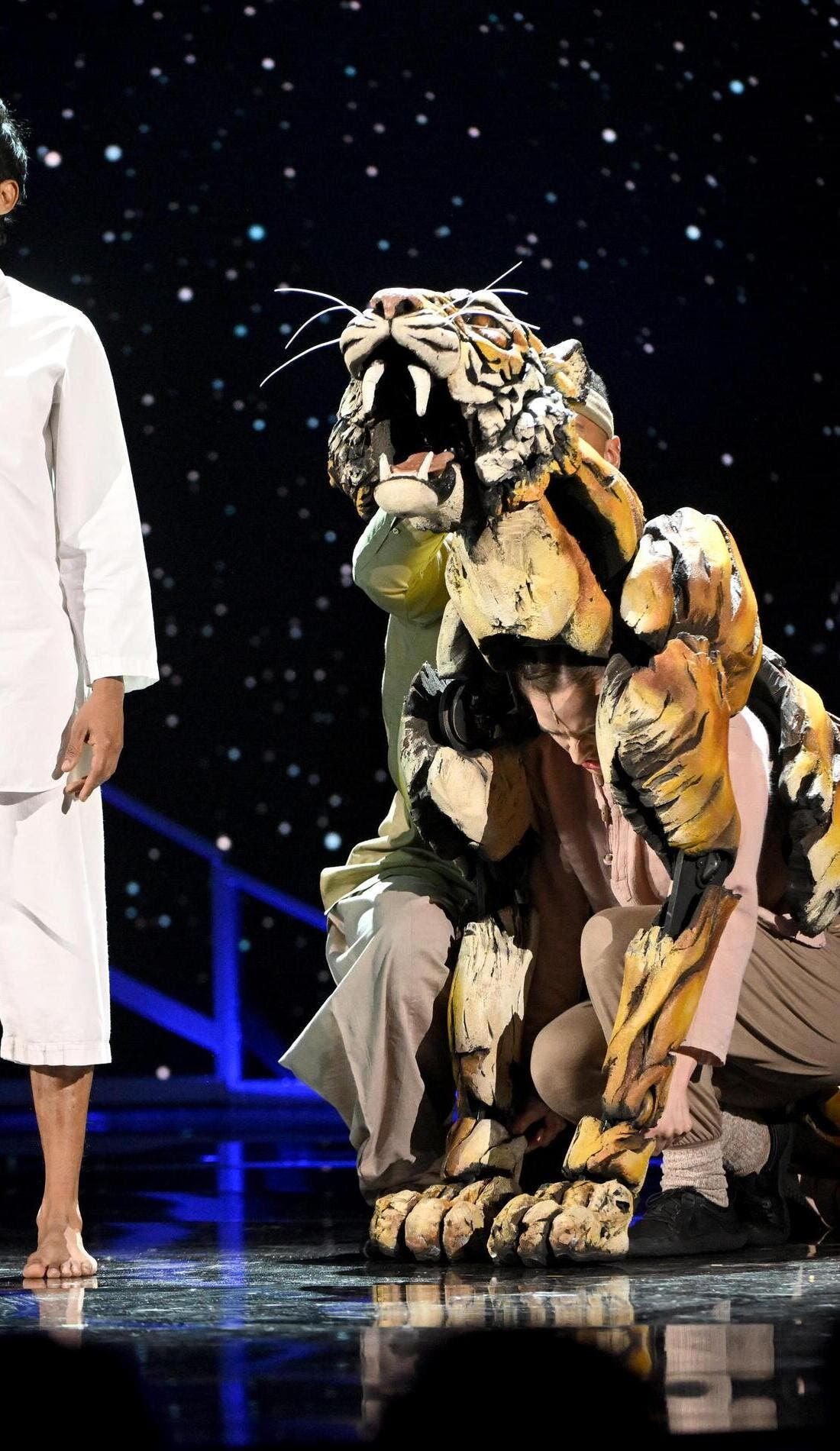 Life Of Pi promotional image for upcoming events and ticket sales