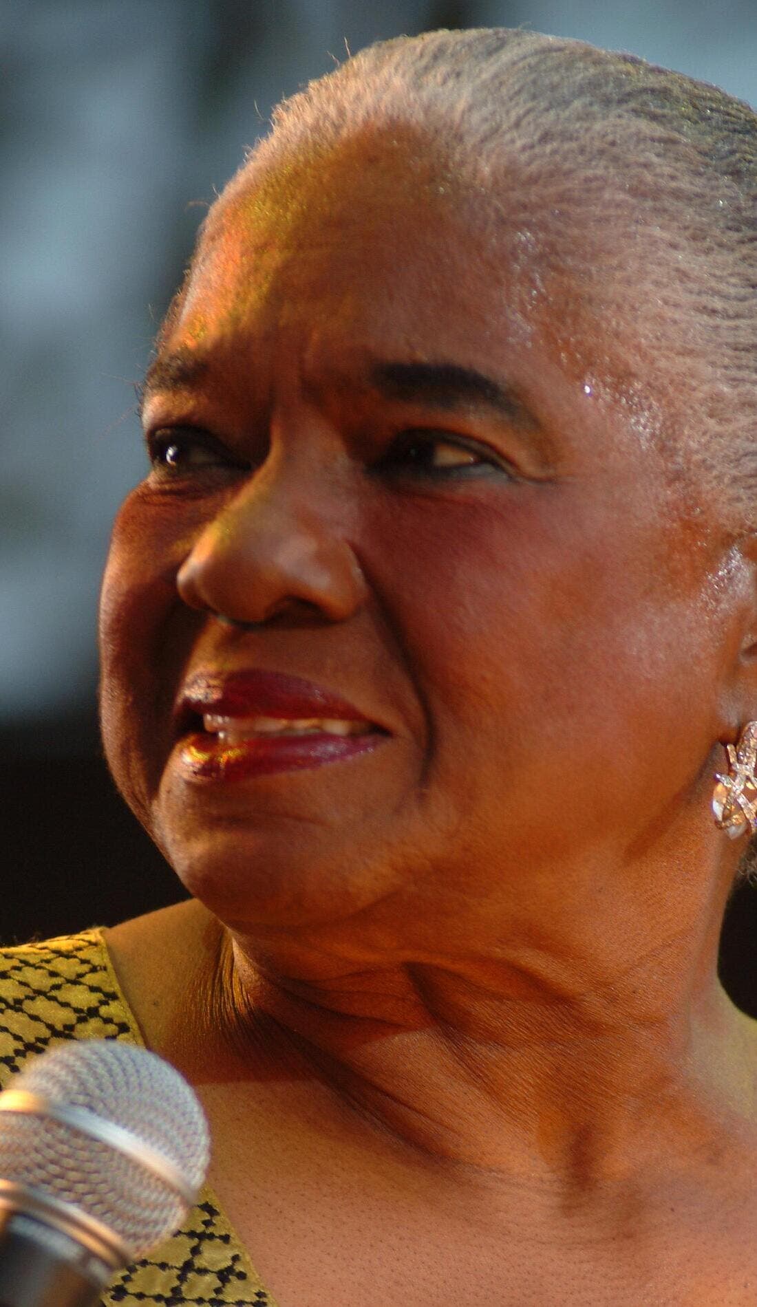 Linda Hopkins promotional image for upcoming events and ticket sales