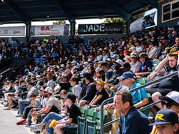 Long Beach State Dirtbags Baseball