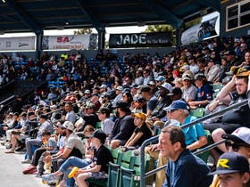 Long Beach State Dirtbags Baseball at Blair Field