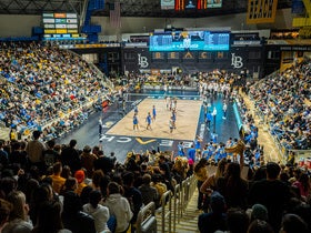 Long Beach State Mens Volleyball