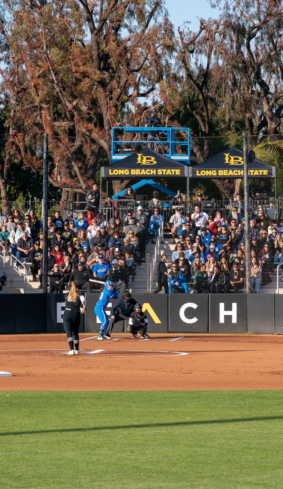 Long Beach State Softball promotional image for upcoming events and ticket sales
