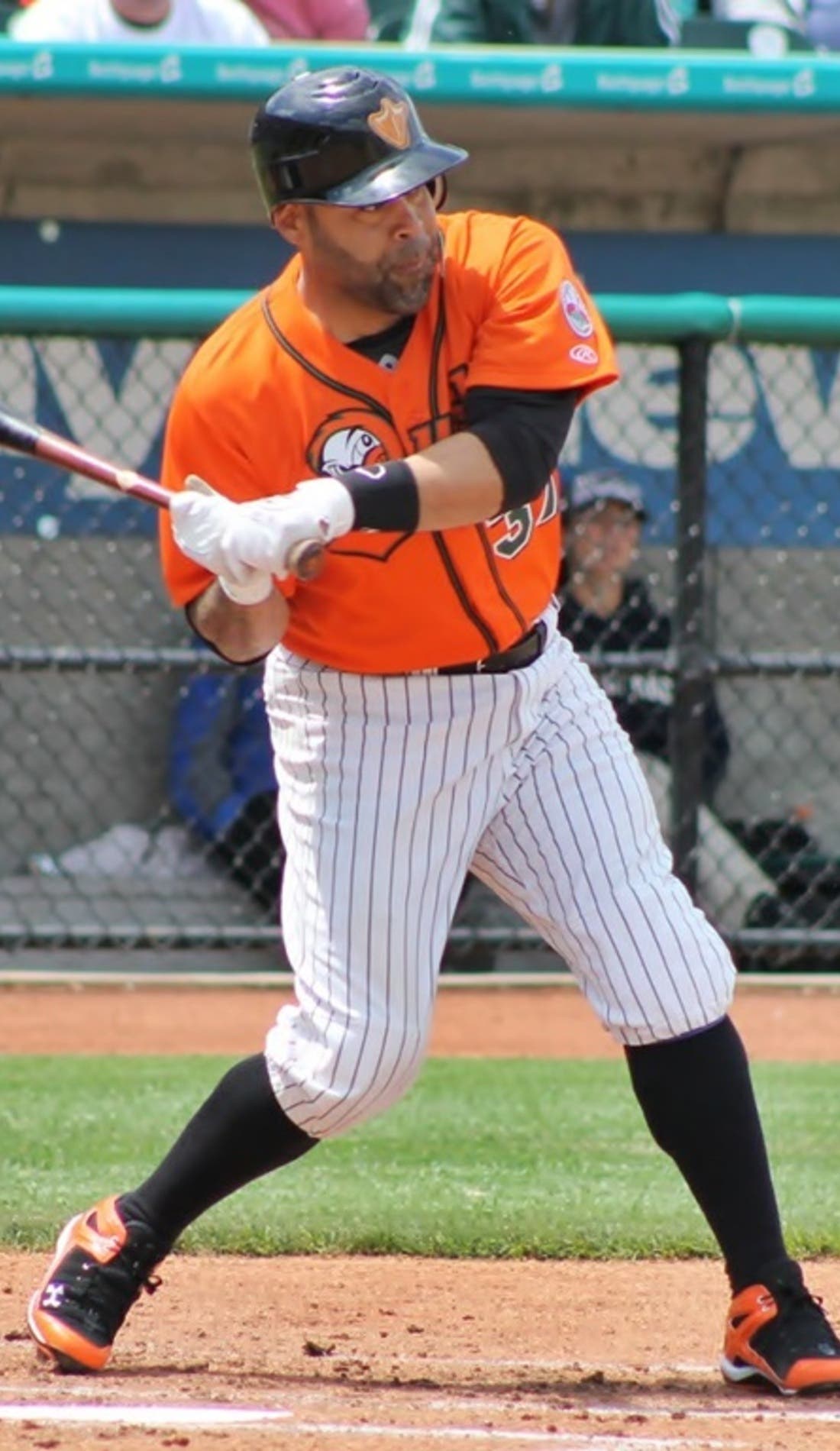 Long Island Ducks promotional image for upcoming events and ticket sales