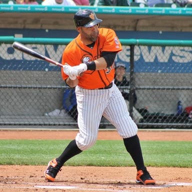 Promotional image of Long Island Ducks