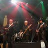 Los Lobos