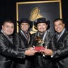 Los Palominos image