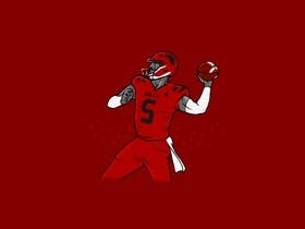 Louisville Cardinals Football at L&N Federal Credit Union Stadium