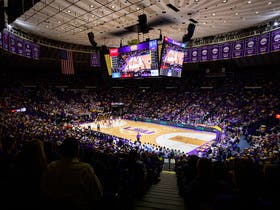 LSU Tigers Mens Basketball