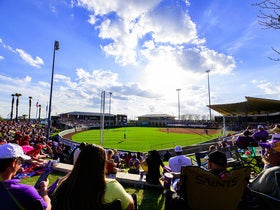 LSU Tigers Softball