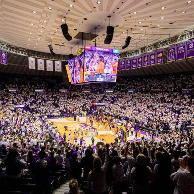 LSU Tigers Womens Basketball Tickets