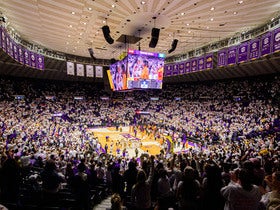 LSU Tigers Womens Basketball
