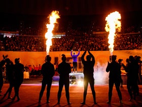 LSU Tigers Womens Gymnastics