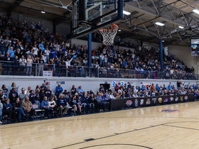 Maine Black Bears Mens Basketball