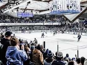 Maine Black Bears Mens Hockey
