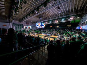 Marshall Thundering Herd Mens Basketball at Cam Henderson Center