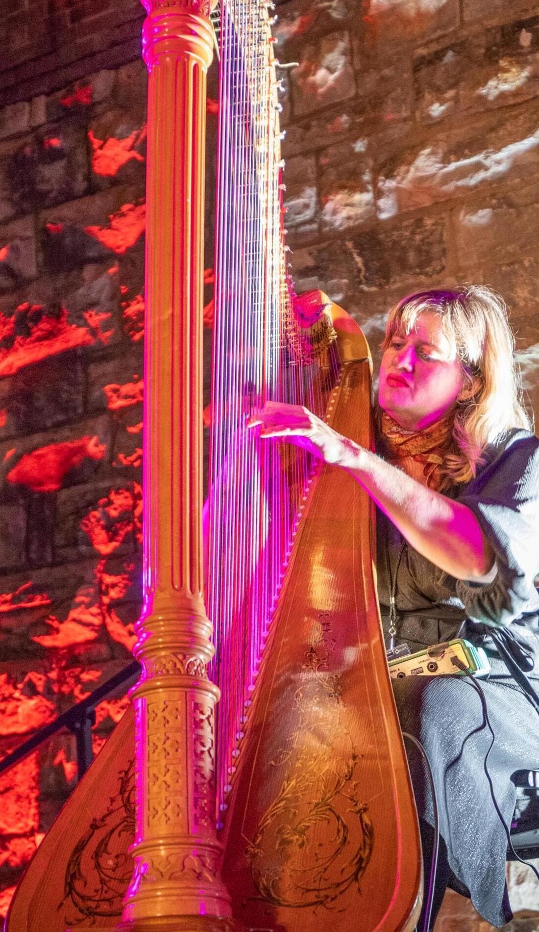 Mary Lattimore promotional image for upcoming events and ticket sales