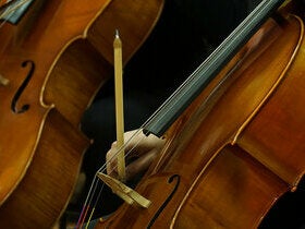 Charleston Symphony Orchestra - Pictures at an Exhibition, Chelsea Gallo event image