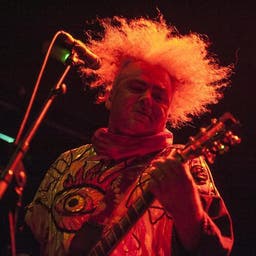 Melvins