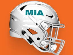 Miami Dolphins