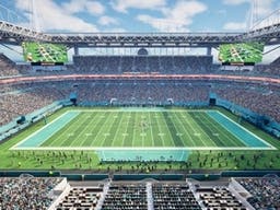 Miami Dolphins