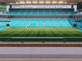Miami Dolphins