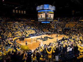 Michigan Wolverines Womens Basketball
