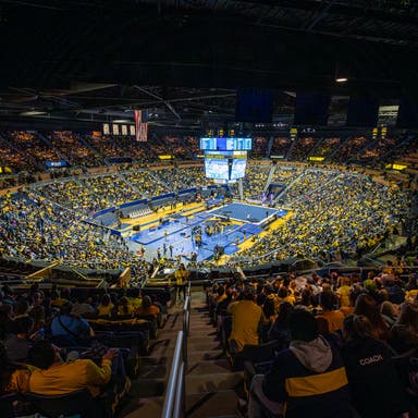 Michigan Wolverines Womens Gymnastics Tickets 