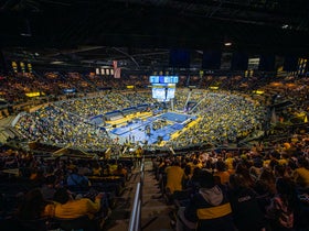 Michigan Wolverines Womens Gymnastics