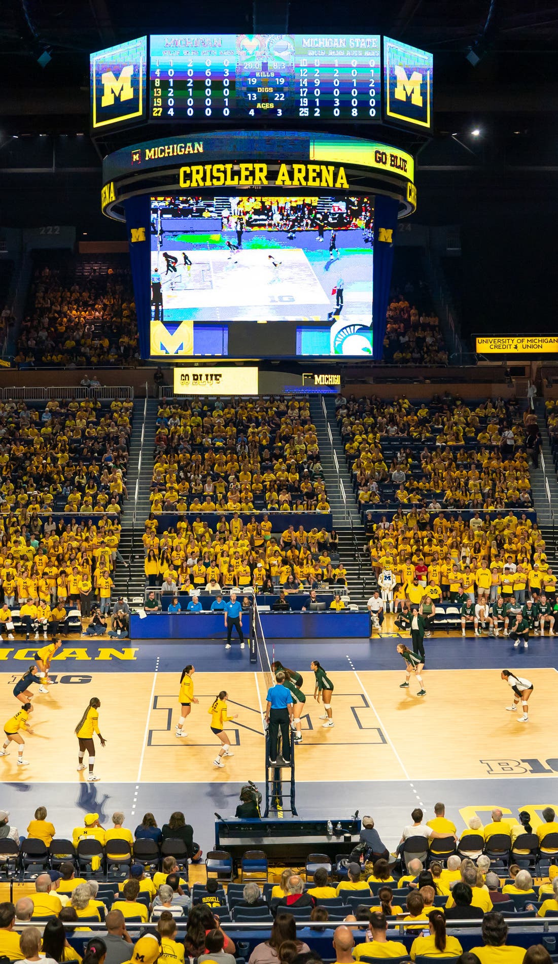 Michigan Wolverines Womens Volleyball promotional image for upcoming events and ticket sales