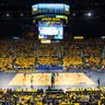 Michigan Wolverines Womens Volleyball