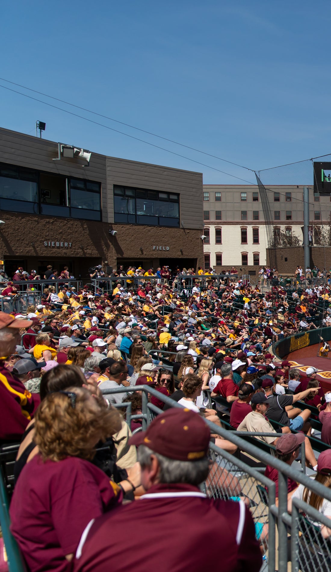 Minnesota Golden Gophers Baseball promotional image for upcoming events and ticket sales