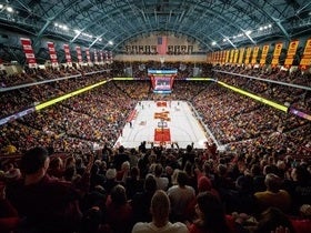 Minnesota Golden Gophers Mens Basketball