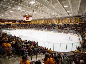 Minnesota Golden Gophers Womens Hockey at Ridder Arena