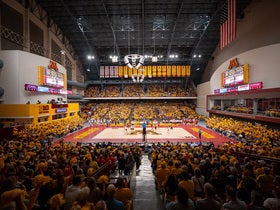 Minnesota Golden Gophers Womens Volleyball