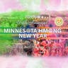 Minnesota Hmong New Year