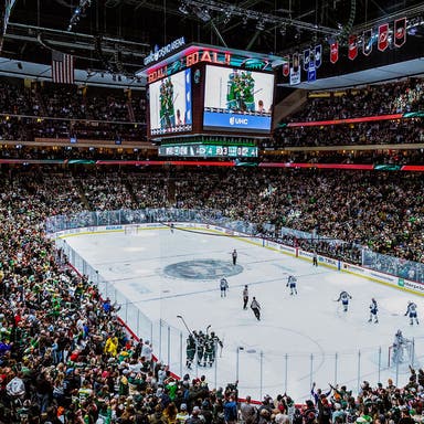 Promotional image of Minnesota Wild