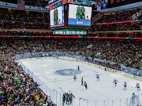 Minnesota Wild
