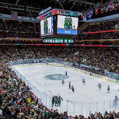 Promotional image of Minnesota Wild