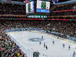 Minnesota Wild
