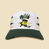 Minnesota Wild