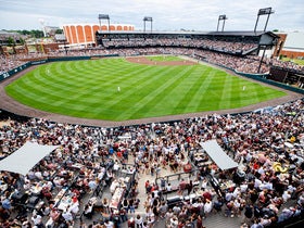 Mississippi State Bulldogs Baseball