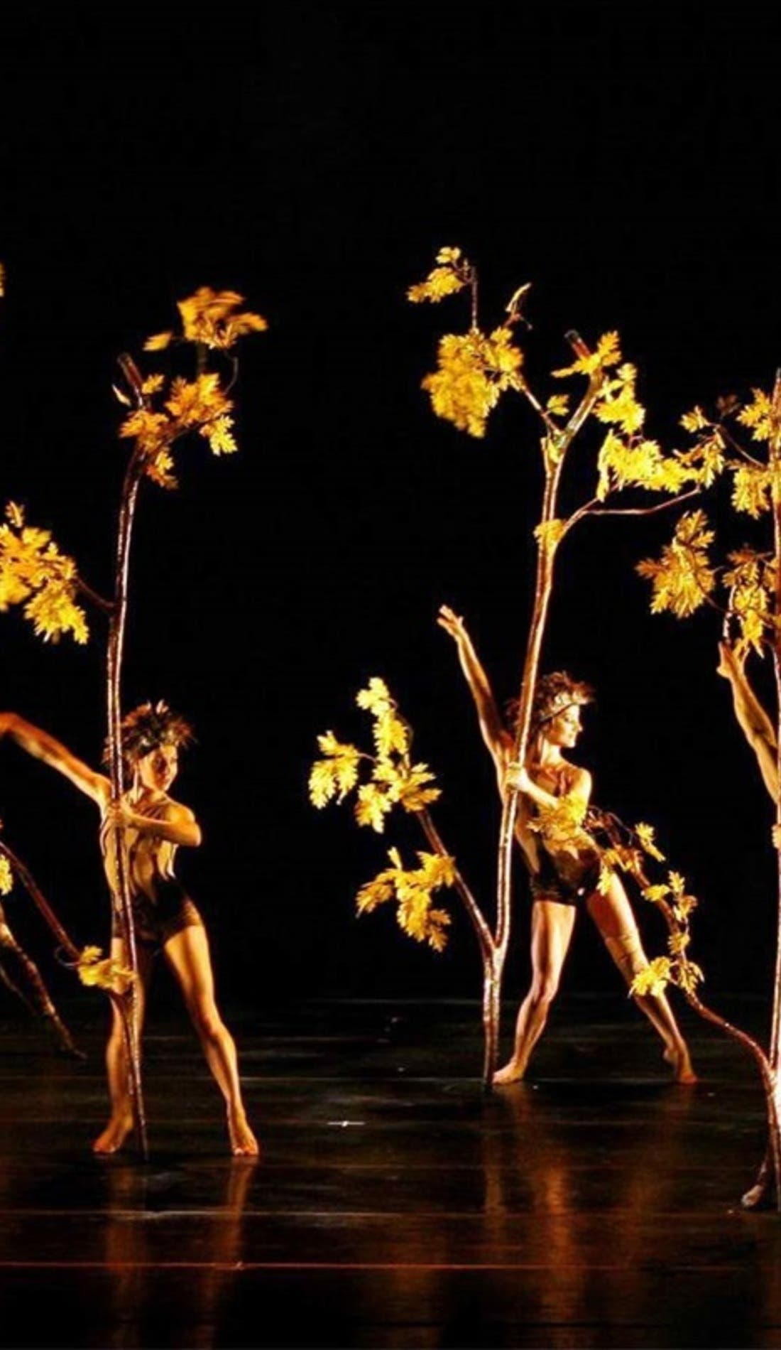 Momix promotional image for upcoming events and ticket sales